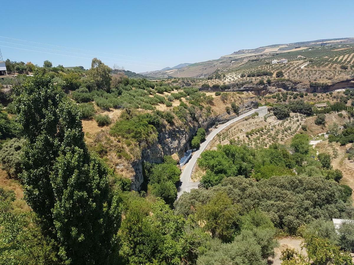 Casa Primavera Lägenhet Setenil De Las Bodegas Exteriör bild